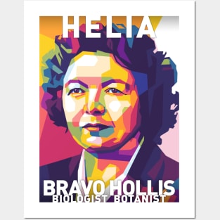 Helia Bravo Hollis Posters and Art